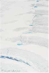 Wave ogives on the Vaughan Lewis Glacier