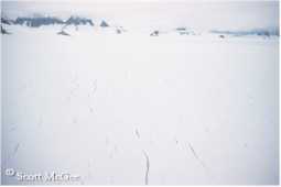 Crevasses on the Taku Glacier