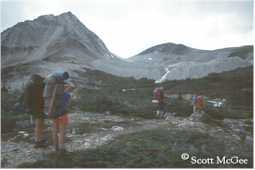 The terminal moraine of the Cathedral Glacier