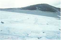 Trimline showing glacier recession